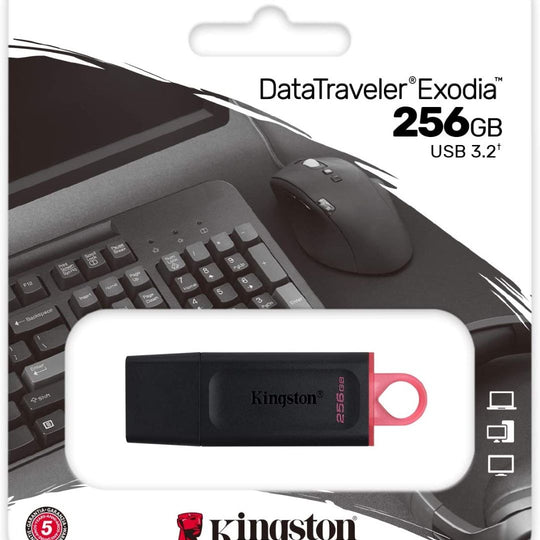 Kingston Pendrive USB-A 3.2 256GB DTX/64GB Chiavetta USB 256 Gigabyte