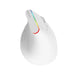 Mouse Verticale Wireless Delux M618C 2.4G 1600DPI RGB Bianco Accessori PC